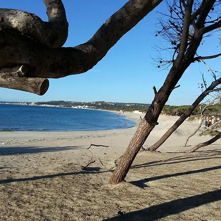 In Rivabella Near The * Gallipoli